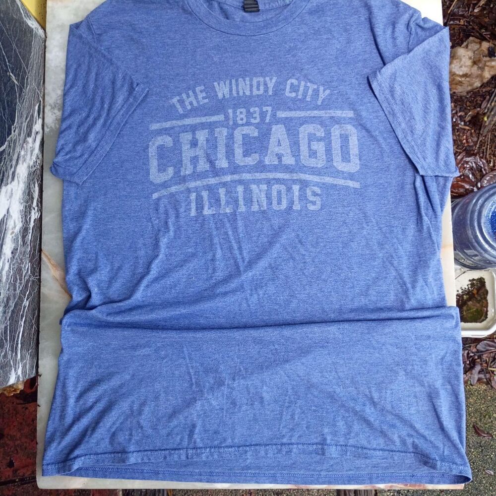 Anvil Men's Blue T-shirt